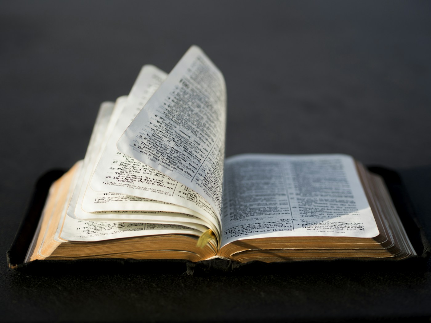 Family Bibles & Keepsakes — collection inspiration