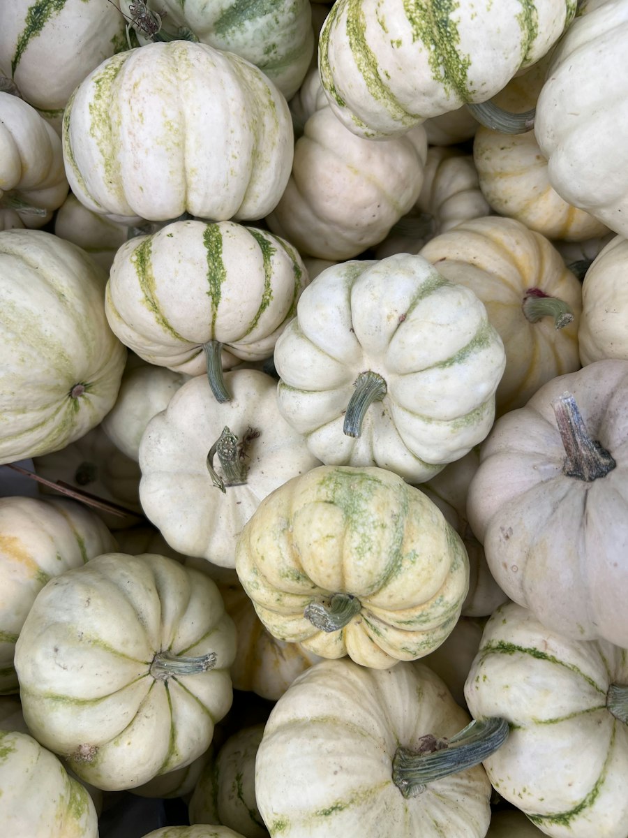 Pumpkins & Thanksgiving Accents — collection inspiration