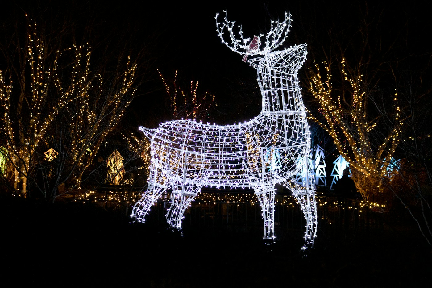 Illuminated Reindeer — collection inspiration